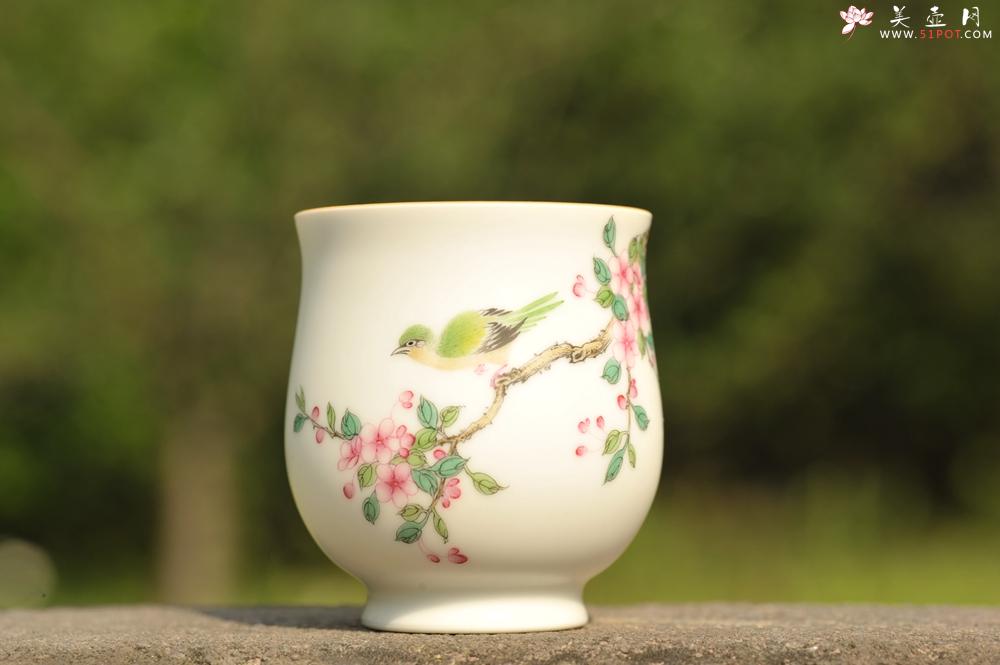 紫砂壶图片：新彩玉光白釉花鸟1 景德镇主人杯 - 紫砂壶之家紫砂壶网