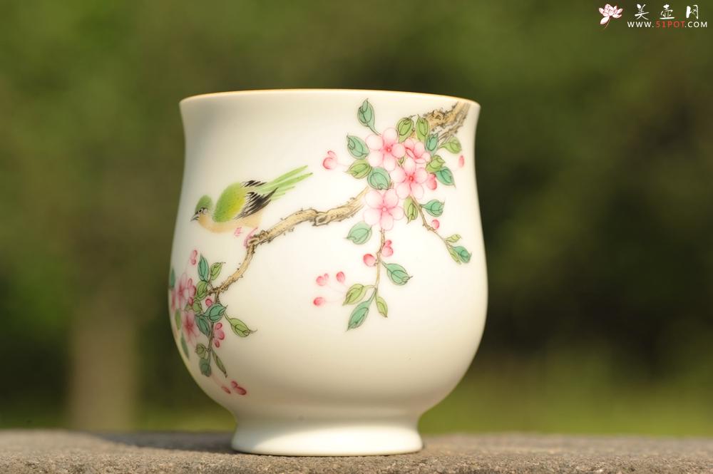 紫砂壶图片：新彩玉光白釉花鸟1 景德镇主人杯 - 紫砂壶之家紫砂壶网