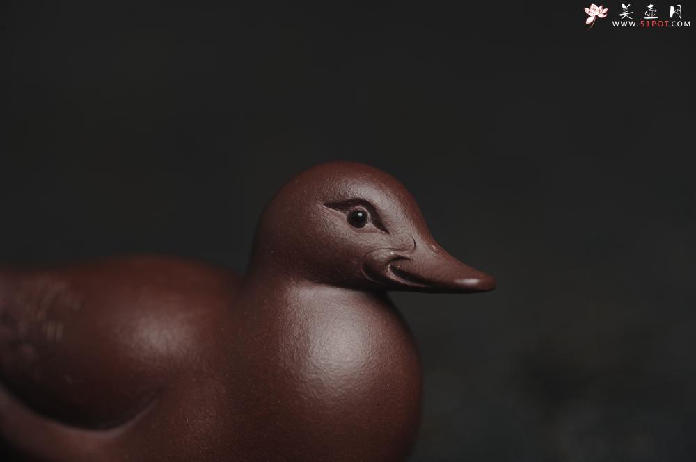 紫砂壶图片：美宠特惠 超精工特好紫泥呆萌小鸭茶宠摆件 长6宽2.5高3cm - 紫砂壶之家紫砂壶网