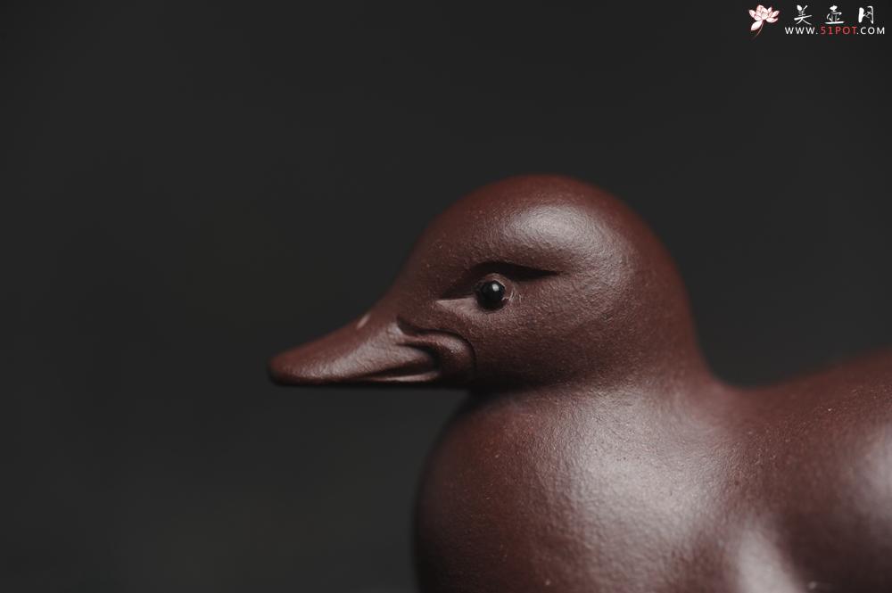 紫砂壶图片：美宠特惠 超精工特好紫泥呆萌小鸭茶宠摆件 长6宽2.5高3cm - 紫砂壶之家紫砂壶网