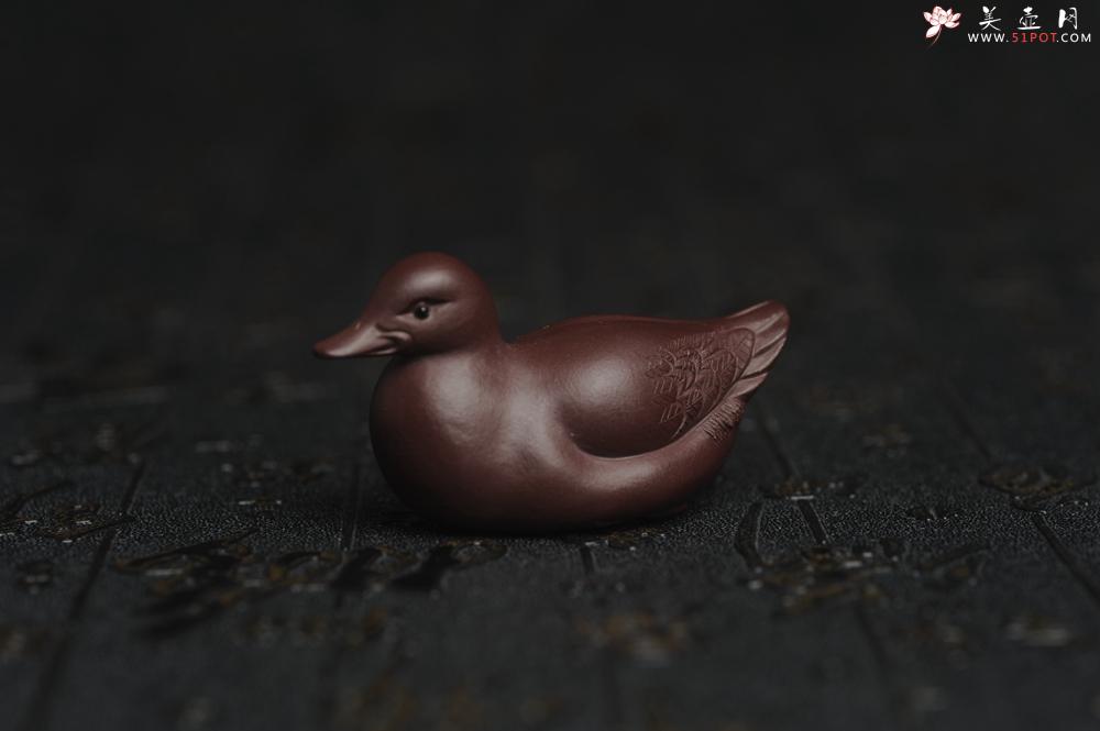 紫砂壶图片：美宠特惠 超精工特好紫泥呆萌小鸭茶宠摆件 长6宽2.5高3cm - 紫砂壶之家紫砂壶网
