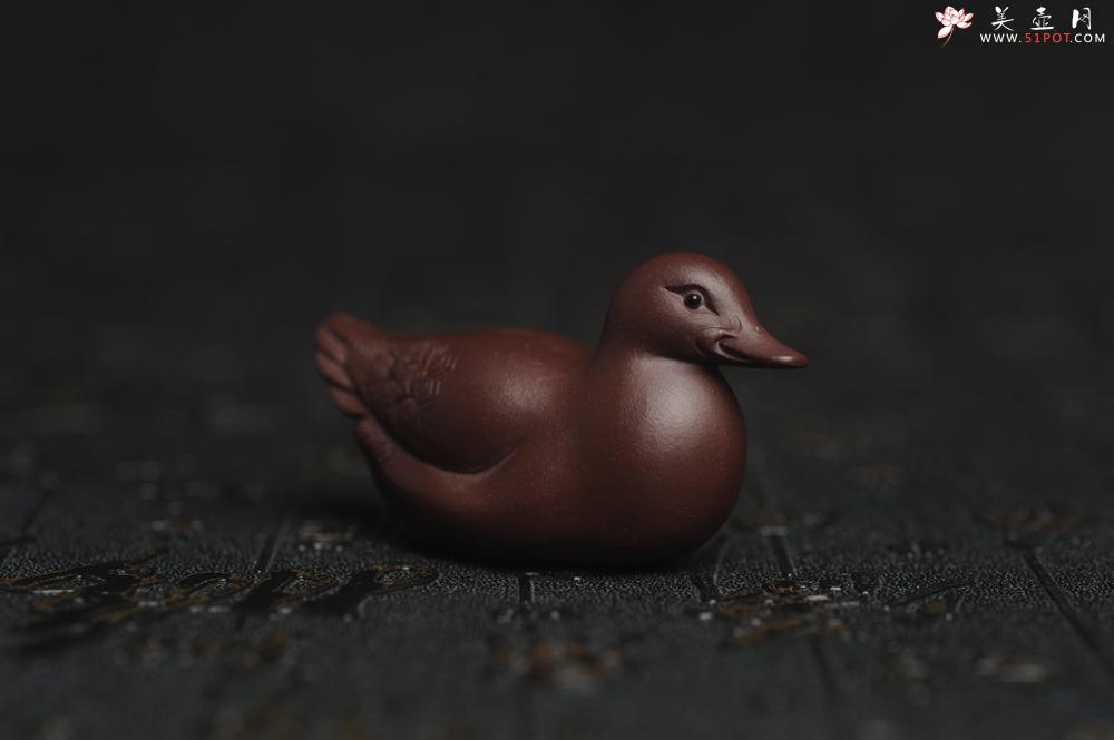 紫砂壶图片：美宠特惠 超精工特好紫泥呆萌小鸭茶宠摆件 长6宽2.5高3cm - 紫砂壶之家紫砂壶网