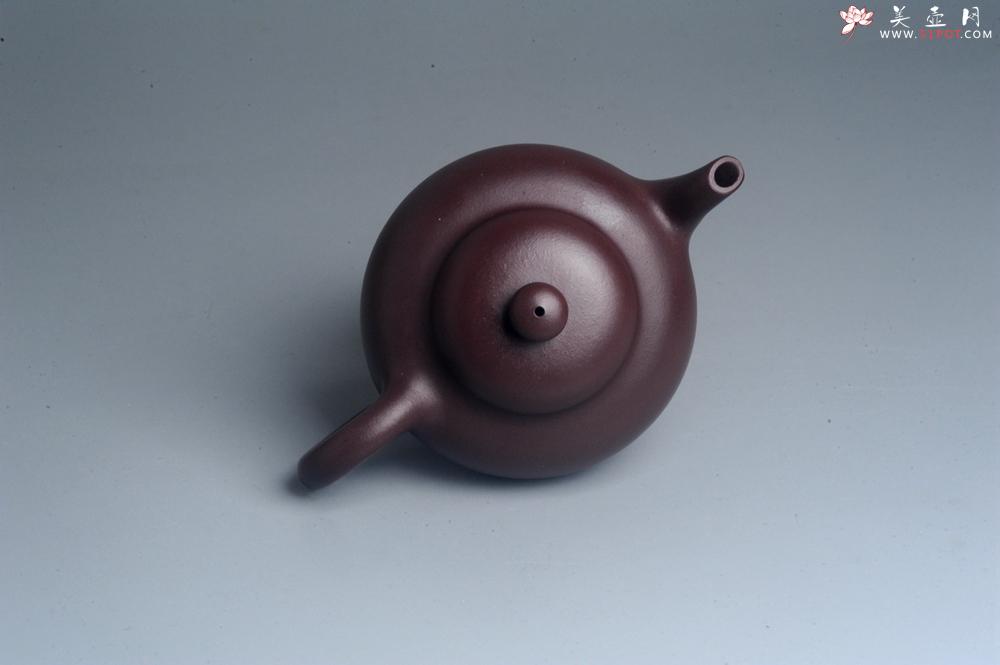 紫砂壶图片：油润黄龙山底槽青 全手工熹微壶  期待与您结缘 - 紫砂壶之家紫砂壶网