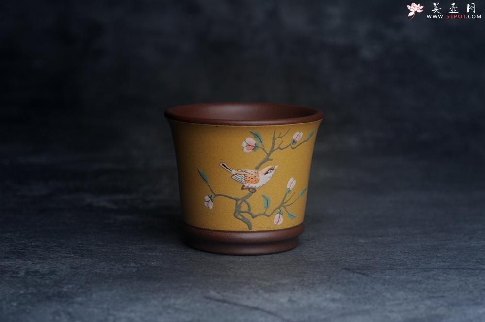 紫砂壶图片：美美杯特惠 精致花鸟紫砂杯 紫泥粉黄金段泥主人杯 茶杯 特文气 - 紫砂壶之家紫砂壶网