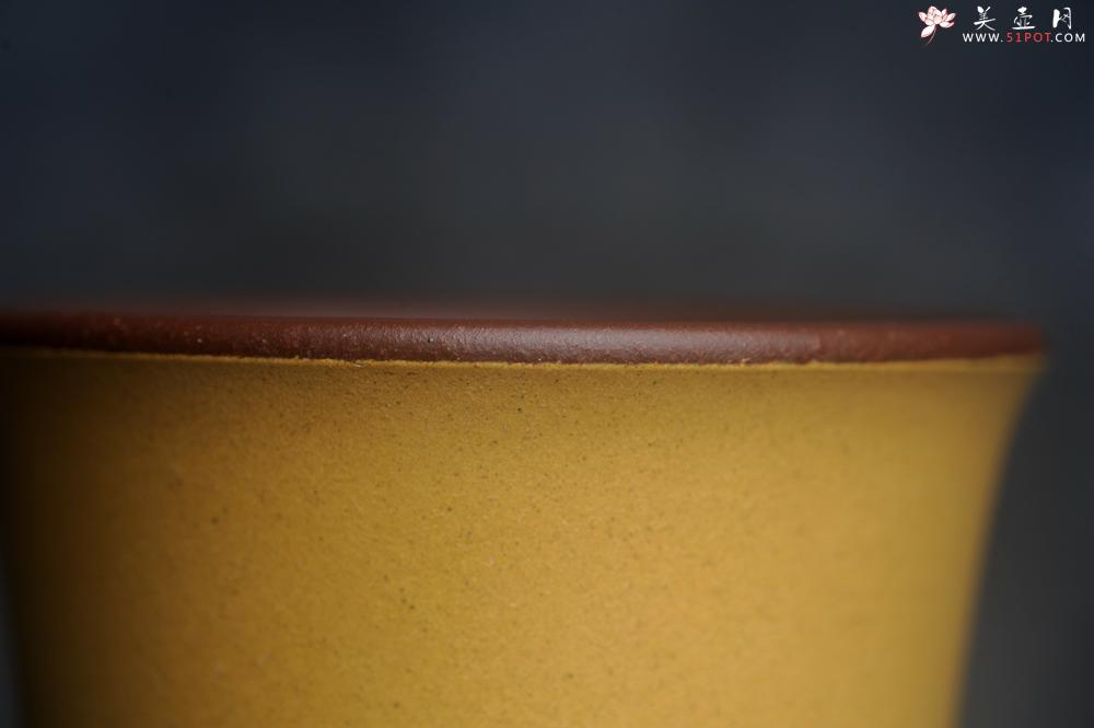 紫砂壶图片：美美杯特惠 精致花鸟紫砂杯 紫泥粉黄金段泥主人杯 茶杯 特文气 - 紫砂壶之家紫砂壶网