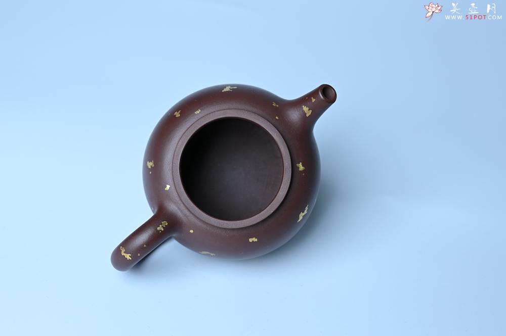 紫砂壶图片：潜力股周小培 全手工原创招财壶200cc 金蟾屹立于壶盖 撒金工艺铺满壶身 寓意黄金落满地 招财进宝 - 紫砂壶之家紫砂壶网