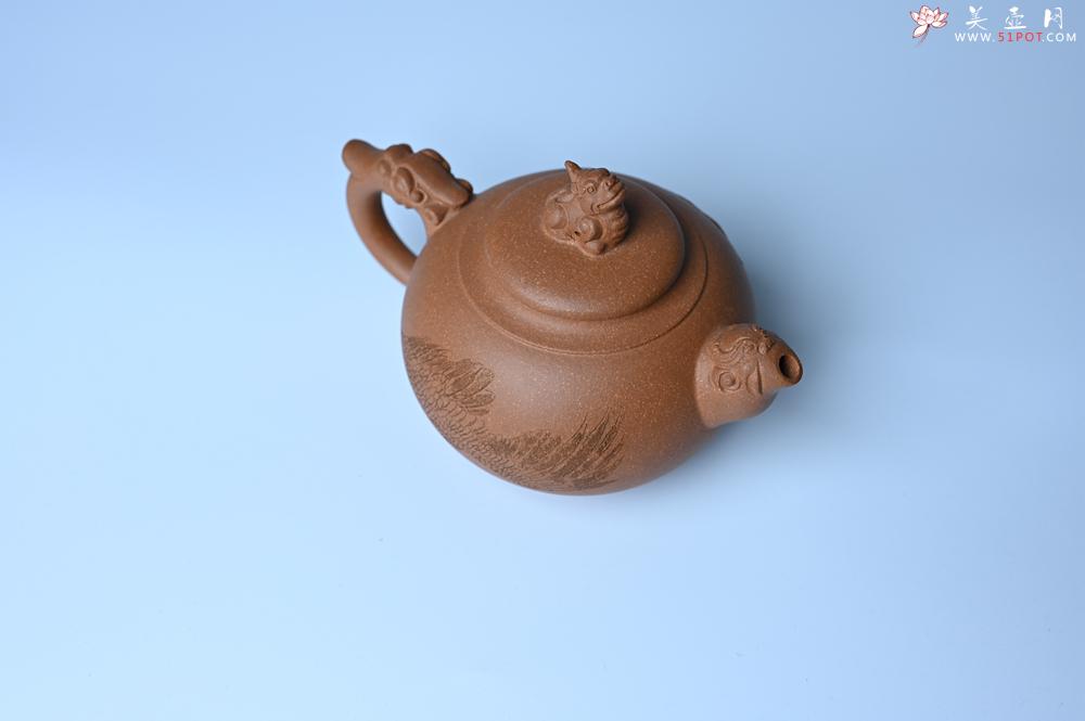 紫砂壶图片：美壶特惠 精致降坡泥祥瑞壶 茶人醉爱 - 紫砂壶之家紫砂壶网