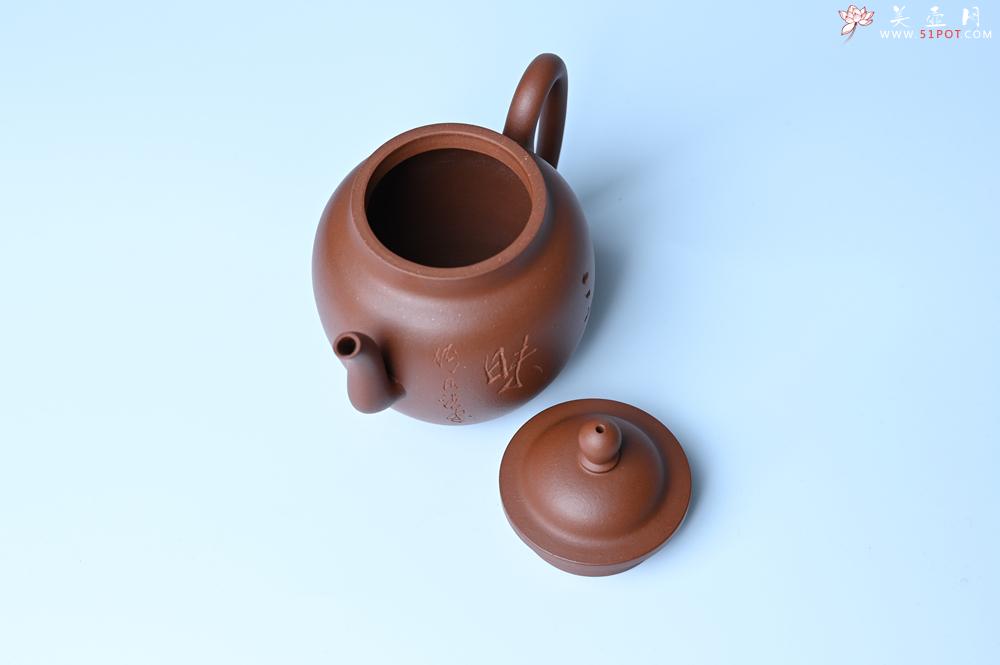 紫砂壶图片：毛国强入室弟子黄云初 特好清水泥高宫灯壶 名家何水法书法“三昧”，刘世涛伯陶刻 - 紫砂壶之家紫砂壶网