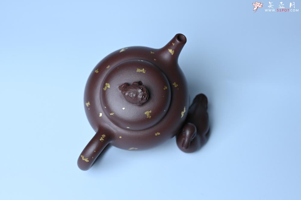 紫砂壶图片：潜力股周小培 全手工原创招财壶200cc 金蟾屹立于壶盖 撒金工艺铺满壶身 寓意黄金落满地 招财进宝 - 紫砂壶之家紫砂壶网