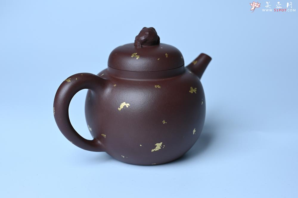 紫砂壶图片：潜力股周小培 全手工原创招财壶200cc 金蟾屹立于壶盖 撒金工艺铺满壶身 寓意黄金落满地 招财进宝 - 紫砂壶之家紫砂壶网