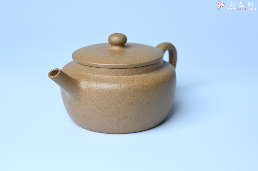 紫砂壶图片：美壶特惠全手工紫砂壶特好段泥桑扁壶 茶壶 茶具 单壶 - 紫砂壶之家紫砂壶网