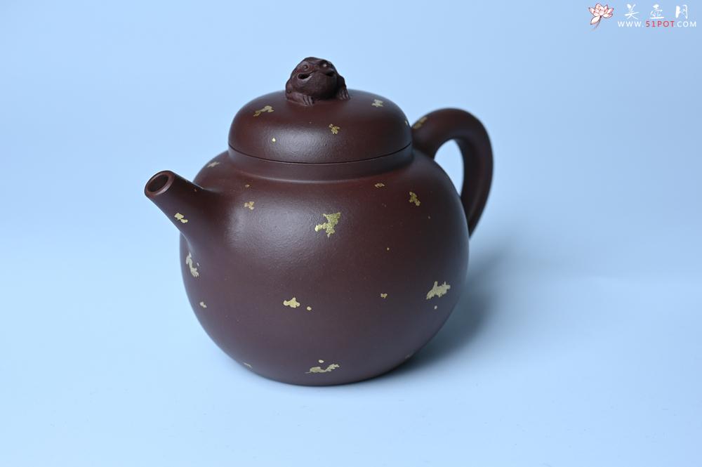 紫砂壶图片：潜力股周小培 全手工原创招财壶200cc 金蟾屹立于壶盖 撒金工艺铺满壶身 寓意黄金落满地 招财进宝 - 紫砂壶之家紫砂壶网