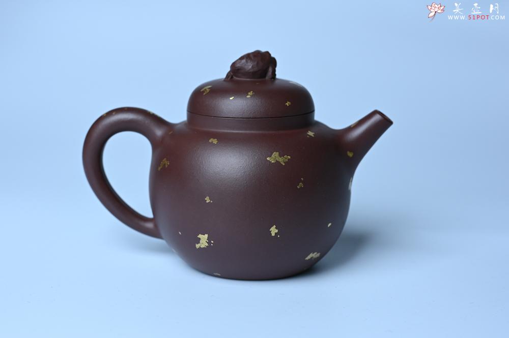 紫砂壶图片：潜力股周小培 全手工原创招财壶200cc 金蟾屹立于壶盖 撒金工艺铺满壶身 寓意黄金落满地 招财进宝 - 紫砂壶之家紫砂壶网