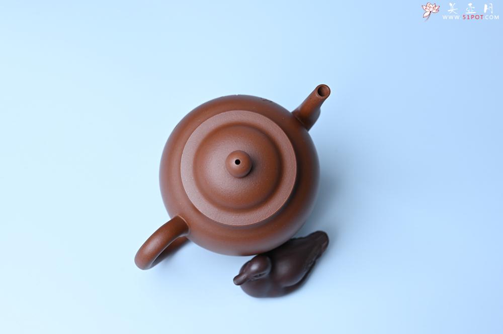 紫砂壶图片：毛国强入室弟子黄云初 特好清水泥高宫灯壶 名家何水法书法“三昧”，刘世涛伯陶刻 - 紫砂壶之家紫砂壶网