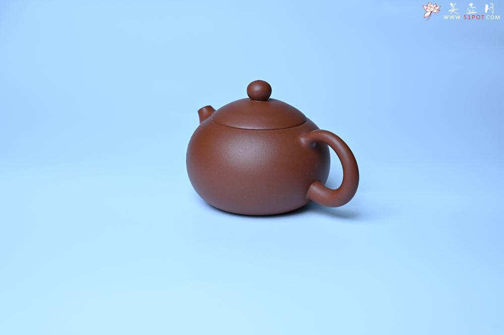 紫砂壶图片：毛国强入室弟子黄云初 特好老清水泥欢喜西施壶 名家何水法书法 刘世涛伯陶刻 - 紫砂壶之家紫砂壶网