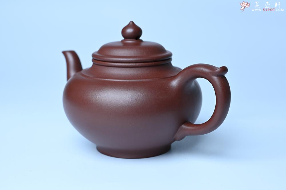 紫砂壶图片：潜力股周小培老师 4号井深井红皮龙全手工笑樱壶 养后特润 期待与您结缘 - 紫砂壶之家紫砂壶网