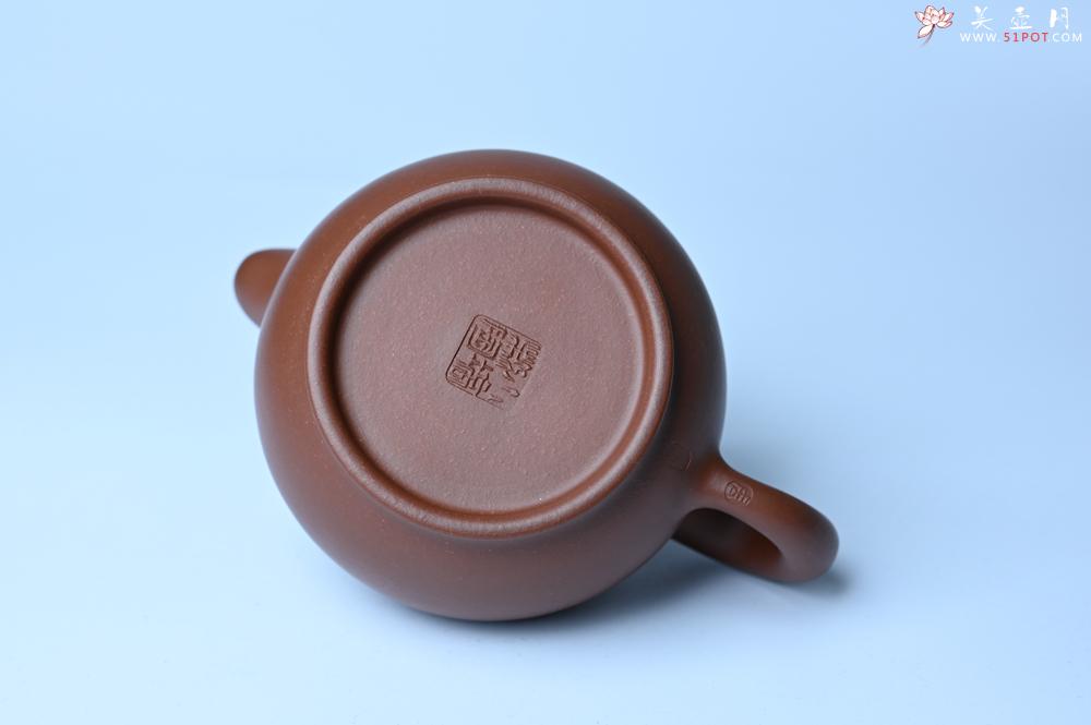 紫砂壶图片：潜力股周小培老师 优质清水泥 全手工道洪圣珠壶 好壶期待与您结缘 - 紫砂壶之家紫砂壶网