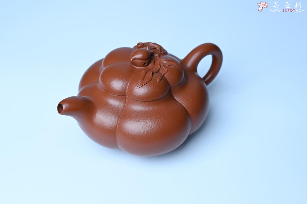 紫砂壶图片：美壶特惠 精品大红袍朱泥上合桃 茶人醉爱 - 紫砂壶之家紫砂壶网