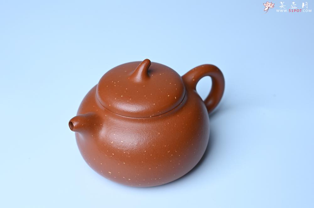 紫砂壶图片：美壶特惠 特好红泥桂花砂茄段壶 茶人醉爱 - 紫砂壶之家紫砂壶网
