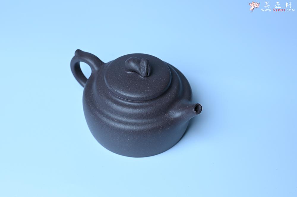 紫砂壶图片：美壶特惠 精品青灰泥玉兔紫砂壶 茶人醉爱 - 紫砂壶之家紫砂壶网