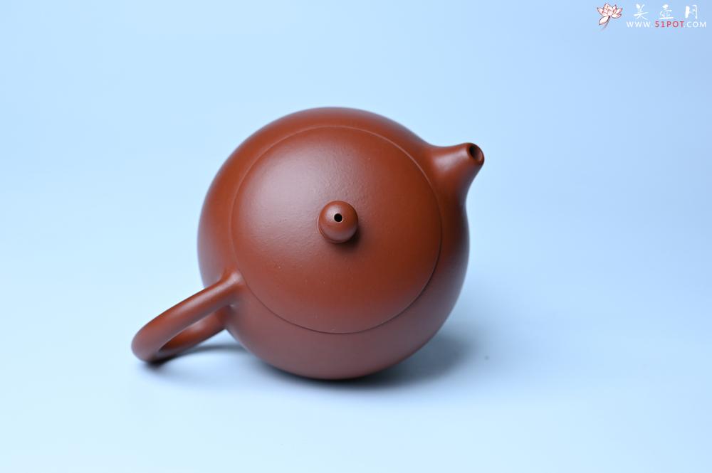 紫砂壶图片：美壶特惠 油润大红袍朱泥 小品西施壶 茶人醉爱 - 紫砂壶之家紫砂壶网