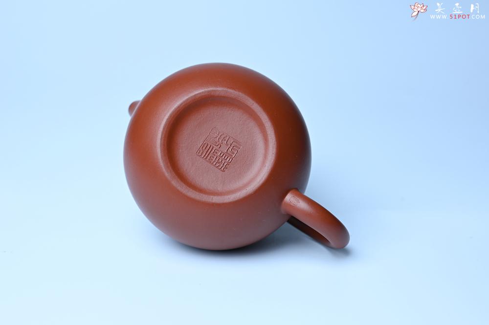 紫砂壶图片：美壶特惠 油润大红袍朱泥 小品西施壶 茶人醉爱 - 紫砂壶之家紫砂壶网