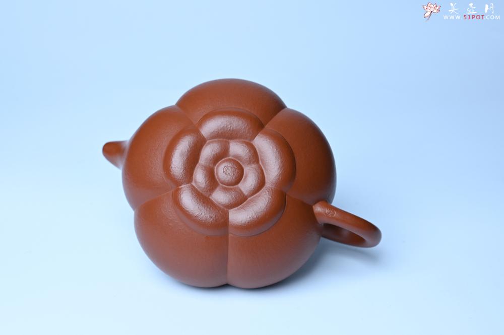 紫砂壶图片：美壶特惠 精品大红袍朱泥上合桃 茶人醉爱 - 紫砂壶之家紫砂壶网