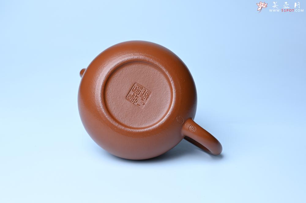 紫砂壶图片：潜力股周小培 油润黄龙山朱泥 全手工文旦壶 壶特好 期待与您结缘 - 紫砂壶之家紫砂壶网