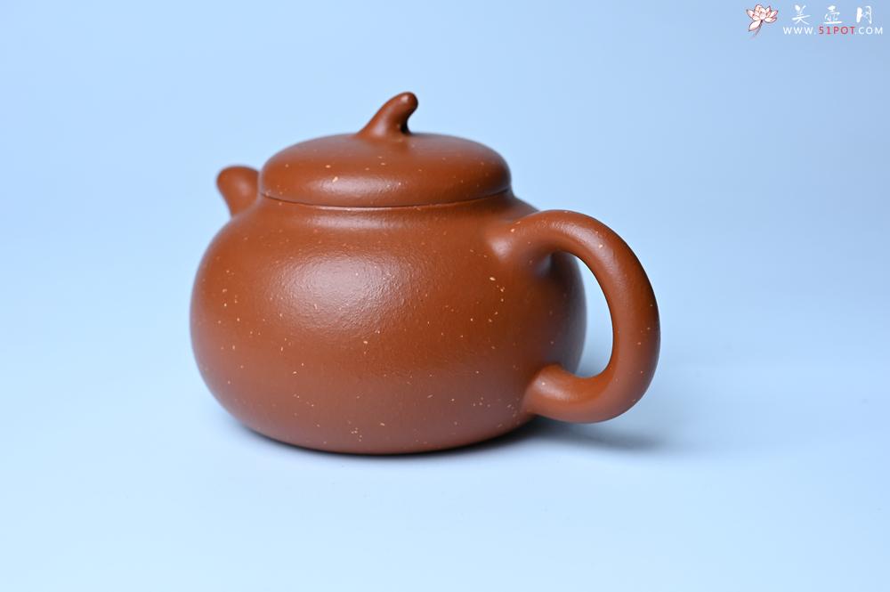 紫砂壶图片：美壶特惠 特好红泥桂花砂茄段壶 茶人醉爱 - 紫砂壶之家紫砂壶网