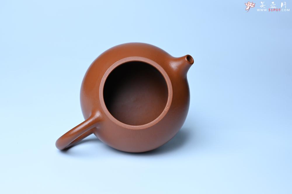 紫砂壶图片：潜力股周小培 油润黄龙山朱泥 全手工文旦壶 壶特好 期待与您结缘 - 紫砂壶之家紫砂壶网