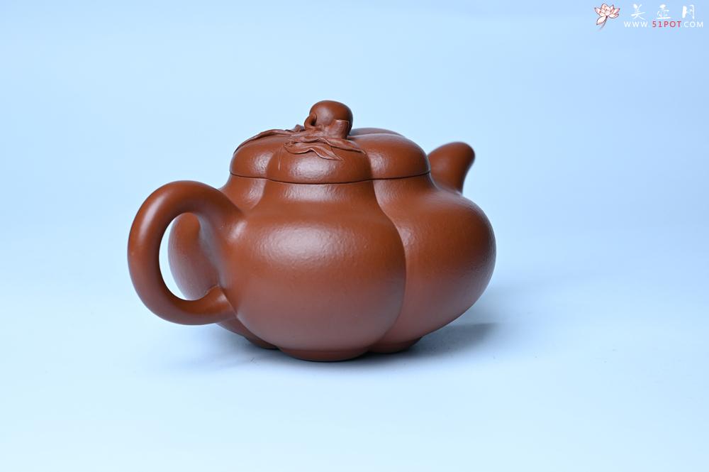 紫砂壶图片：美壶特惠 精品大红袍朱泥上合桃 茶人醉爱 - 紫砂壶之家紫砂壶网