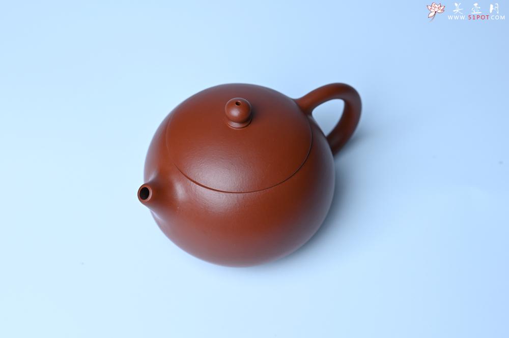 紫砂壶图片：美壶特惠 油润大红袍朱泥 小品西施壶 茶人醉爱 - 紫砂壶之家紫砂壶网