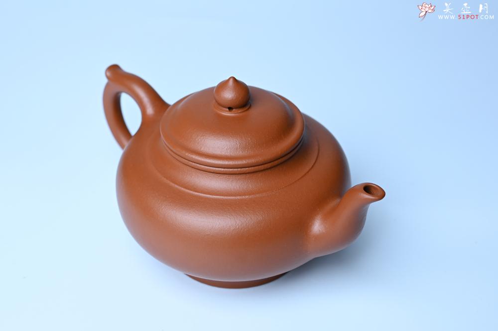 紫砂壶图片：潜力股周小培全手工演绎朱泥笑樱壶 中品难度大 - 紫砂壶之家紫砂壶网