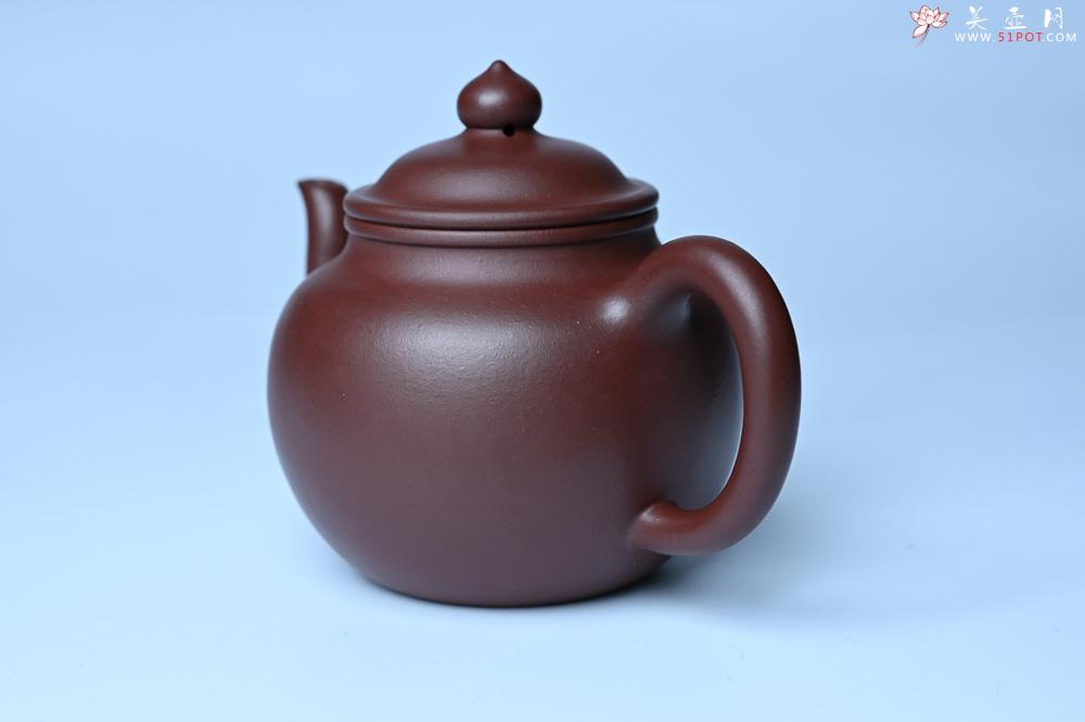 紫砂壶图片：油润黄龙山4号深井红皮龙 全手工高宫灯壶 东西灰常赞 - 紫砂壶之家紫砂壶网