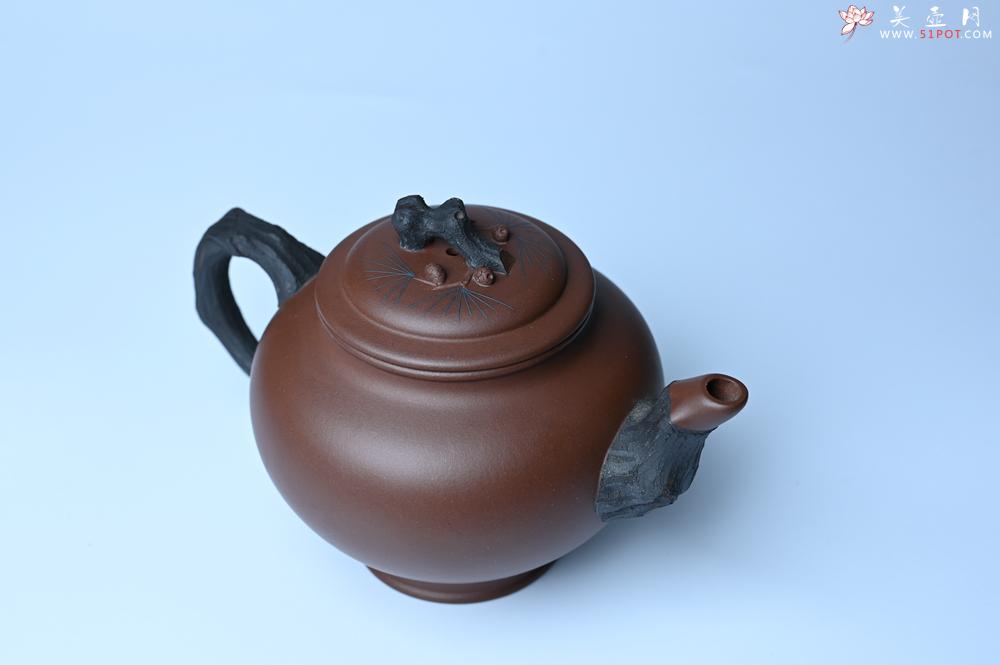紫砂壶图片：美壶特惠 精致报春系列之松报春壶 - 紫砂壶之家紫砂壶网