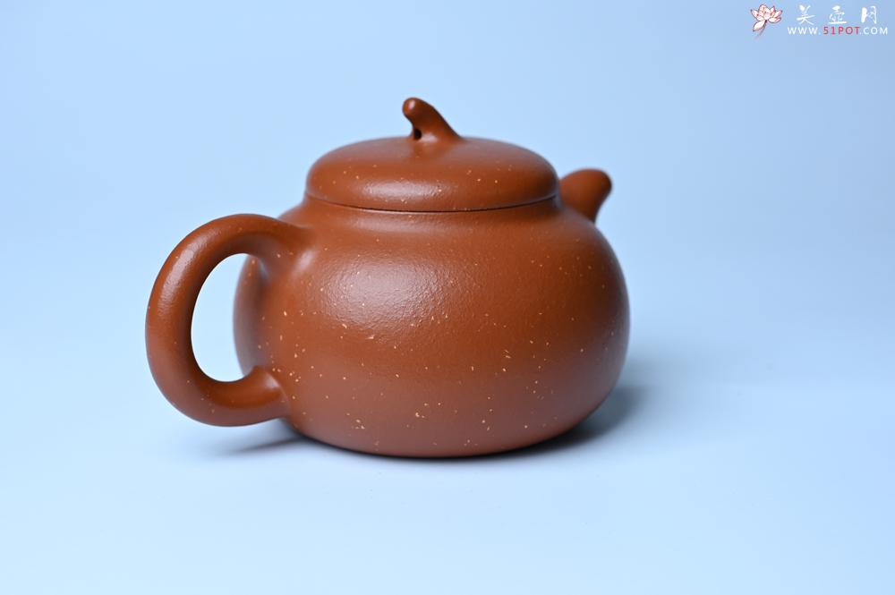 紫砂壶图片：美壶特惠 特好红泥桂花砂茄段壶 茶人醉爱 - 紫砂壶之家紫砂壶网