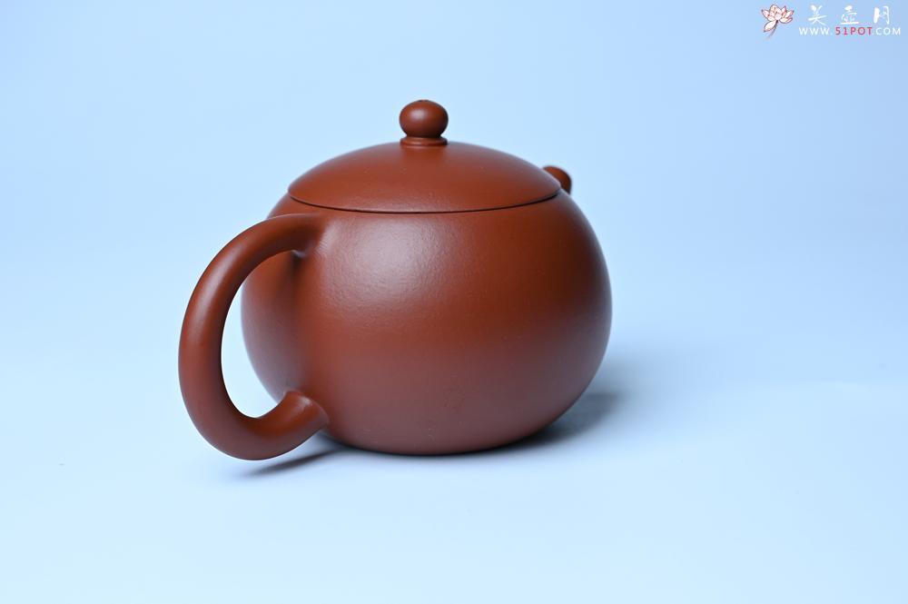 紫砂壶图片：美壶特惠 油润大红袍朱泥 小品西施壶 茶人醉爱 - 紫砂壶之家紫砂壶网
