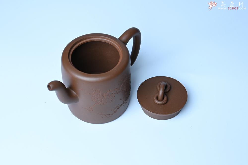 紫砂壶图片：美壶特惠 潜力股王静然 优质紫泥双圈壶 春风大雅能容物 装饰文雅 - 紫砂壶之家紫砂壶网