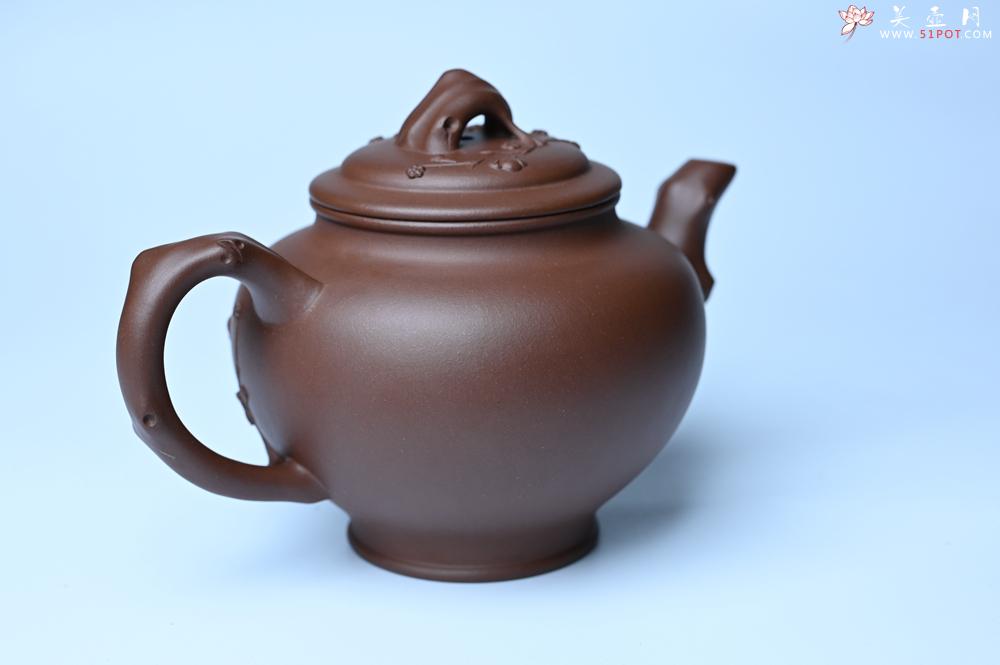 紫砂壶图片：美壶特惠 精致报春系列之梅花报春壶 - 紫砂壶之家紫砂壶网