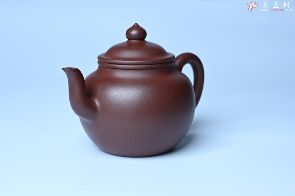 紫砂壶图片：油润黄龙山4号深井红皮龙 全手工高宫灯壶 东西灰常赞 - 紫砂壶之家紫砂壶网