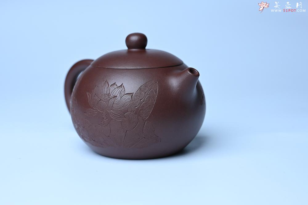 紫砂壶图片：油润底曹青 全手工西施茶壶 玉洁冰清 接天莲叶无穷碧 映日荷花别样红 - 紫砂壶之家紫砂壶网