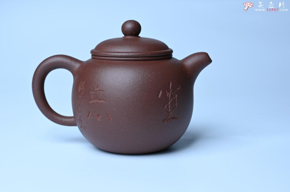 紫砂壶图片：毛国强入室弟子黄云初 特好老紫泥匏尊壶 名家何水法书法“坐忘” 刘世涛伯陶刻 - 紫砂壶之家紫砂壶网