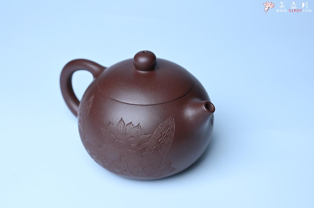 紫砂壶图片：油润底曹青 全手工西施茶壶 玉洁冰清 接天莲叶无穷碧 映日荷花别样红 - 紫砂壶之家紫砂壶网