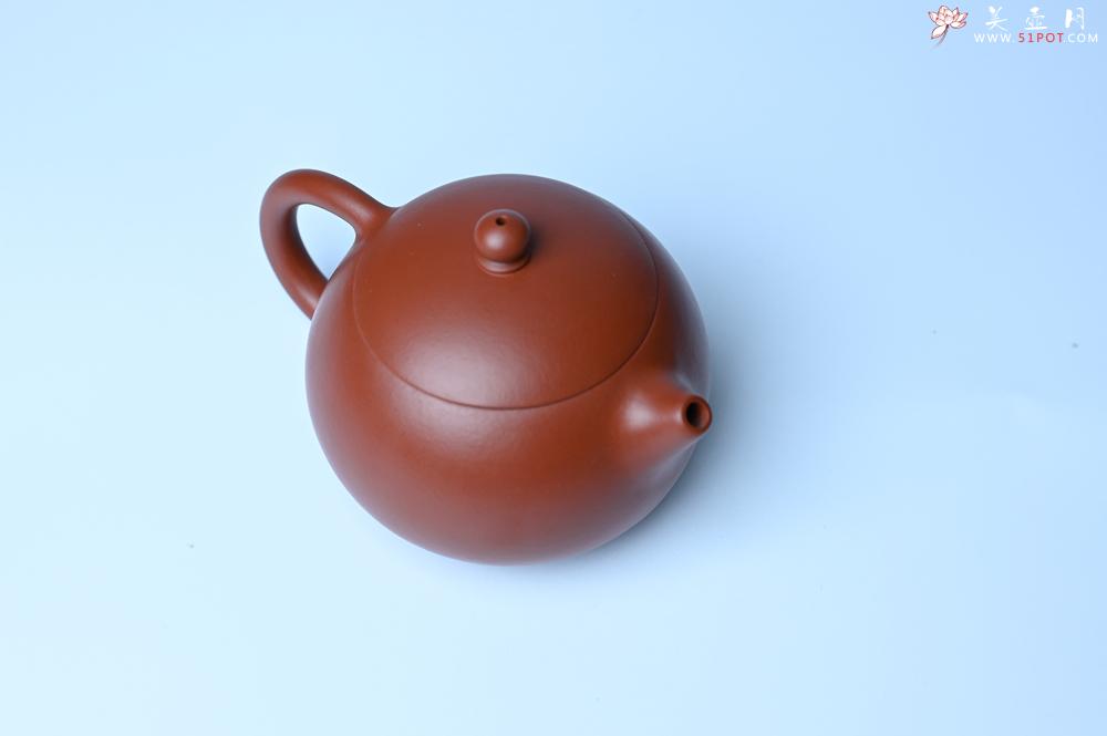 紫砂壶图片：美壶特惠 油润大红袍朱泥 小品西施壶 茶人醉爱 - 紫砂壶之家紫砂壶网