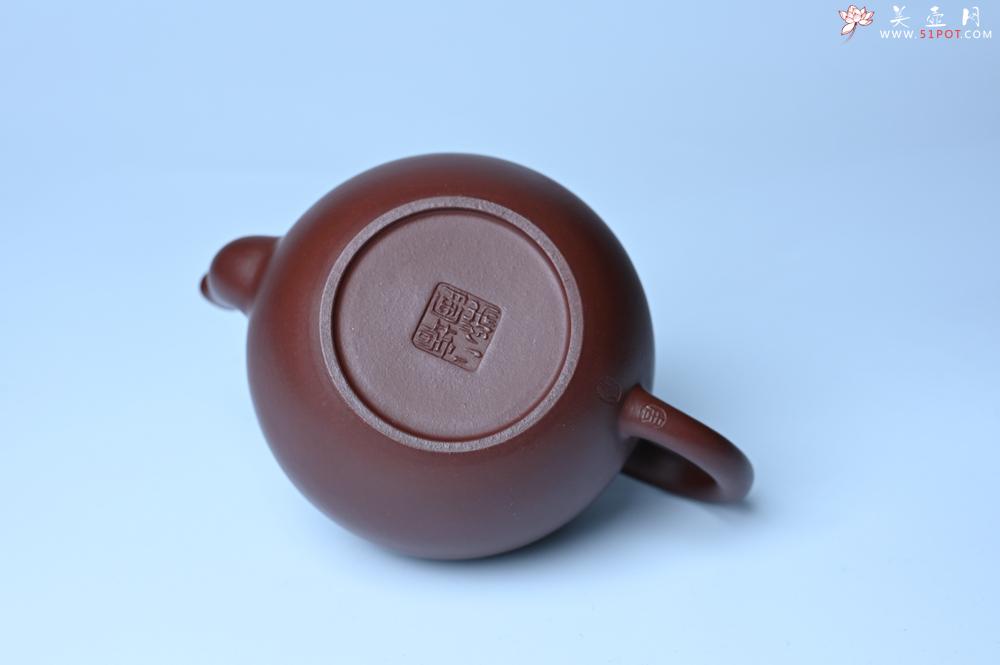 紫砂壶图片：油润黄龙山4号深井红皮龙 全手工高宫灯壶 东西灰常赞 - 紫砂壶之家紫砂壶网