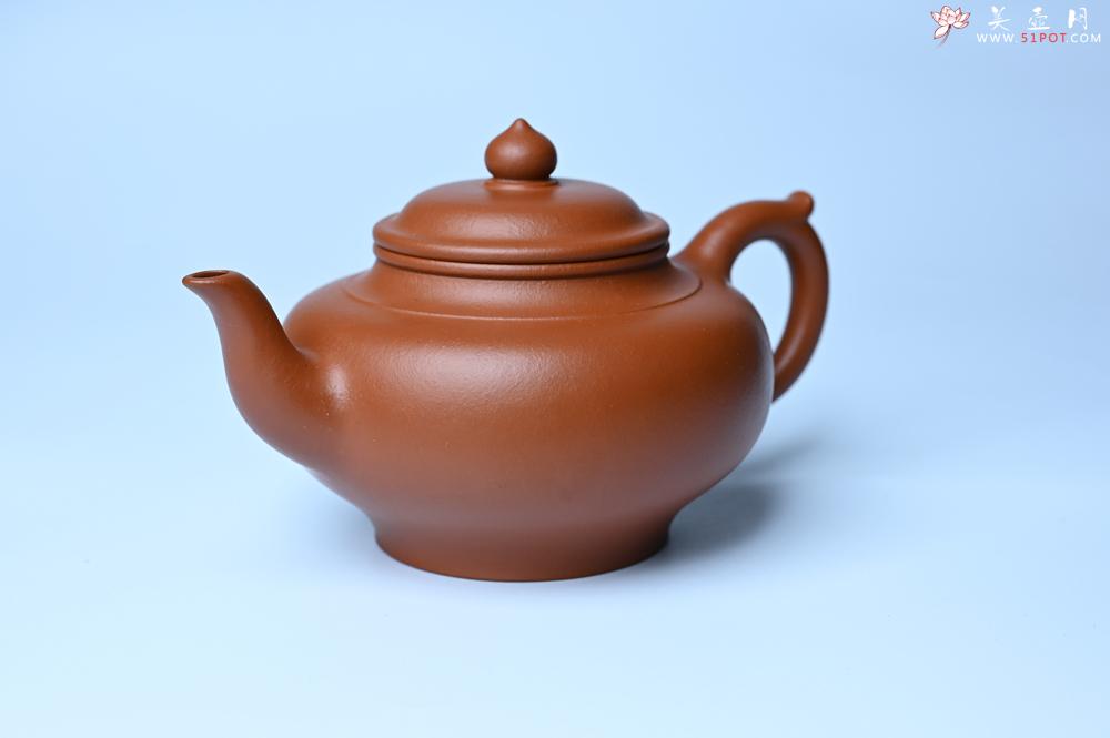 紫砂壶图片：潜力股周小培全手工演绎朱泥笑樱壶 中品难度大 - 紫砂壶之家紫砂壶网