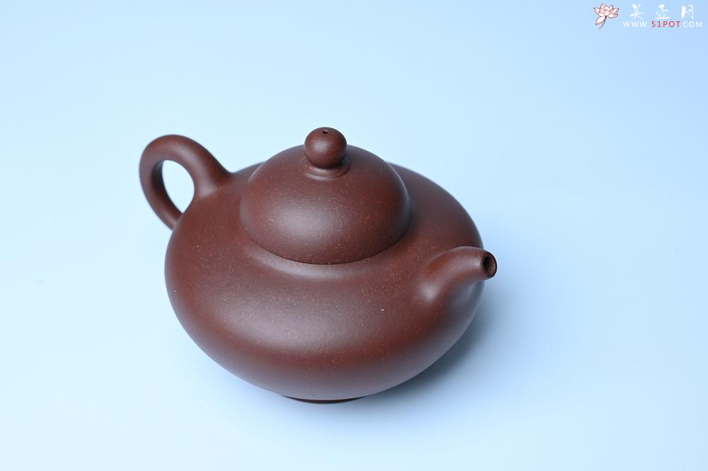 紫砂壶图片：美壶特惠周老师实力精工力作 临摹致敬经典华颖壶 - 紫砂壶之家紫砂壶网