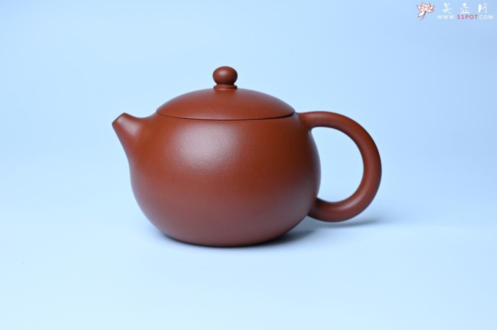 紫砂壶图片：美壶特惠 油润大红袍朱泥 小品西施壶 茶人醉爱 - 紫砂壶之家紫砂壶网