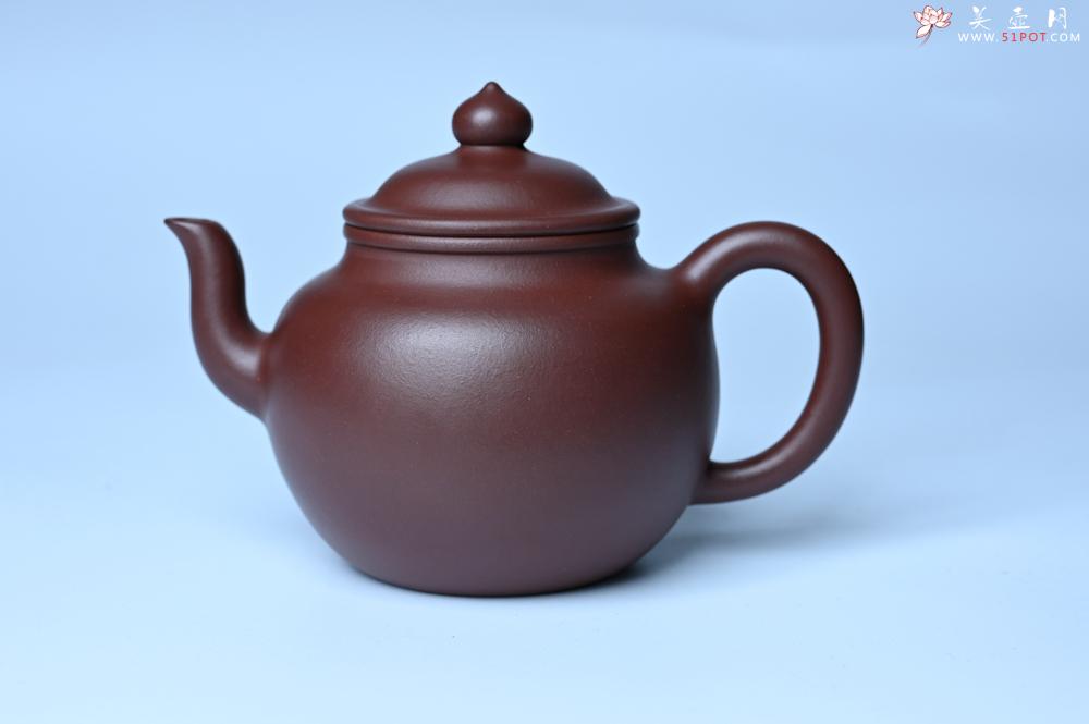 紫砂壶图片：油润黄龙山4号深井红皮龙 全手工高宫灯壶 东西灰常赞 - 紫砂壶之家紫砂壶网