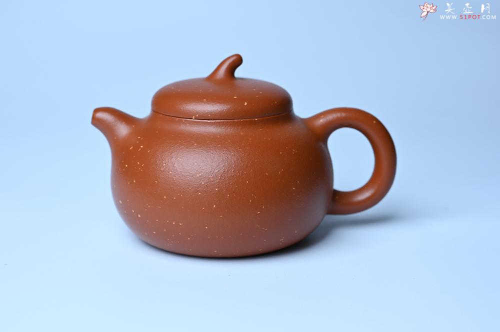 紫砂壶图片：美壶特惠 特好红泥桂花砂茄段壶 茶人醉爱 - 紫砂壶之家紫砂壶网